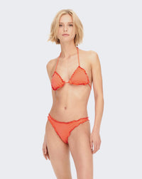 Lemon Leaf Collections