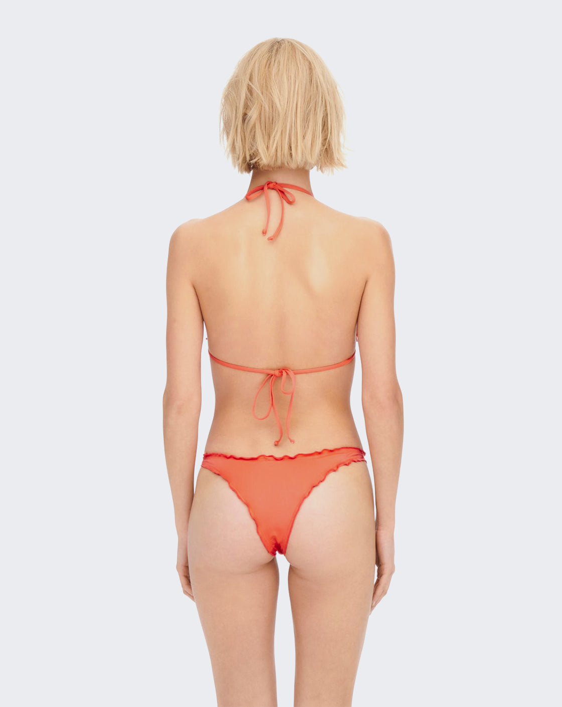 Lemon Leaf Collections