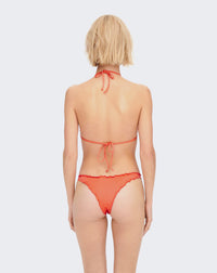 Lemon Leaf Collections