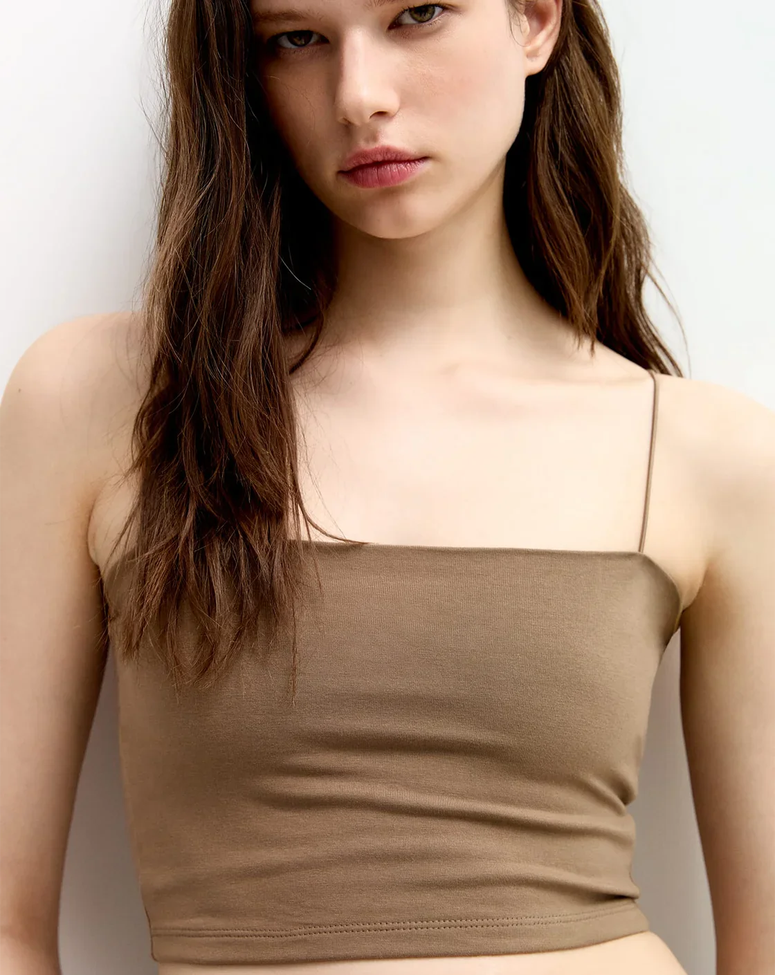 Lemon Leaf Collections