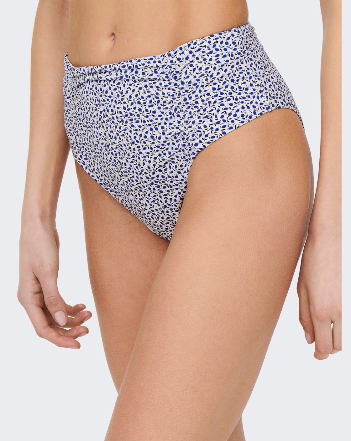 Lemon Leaf Collections