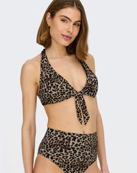 Lemon Leaf Collections