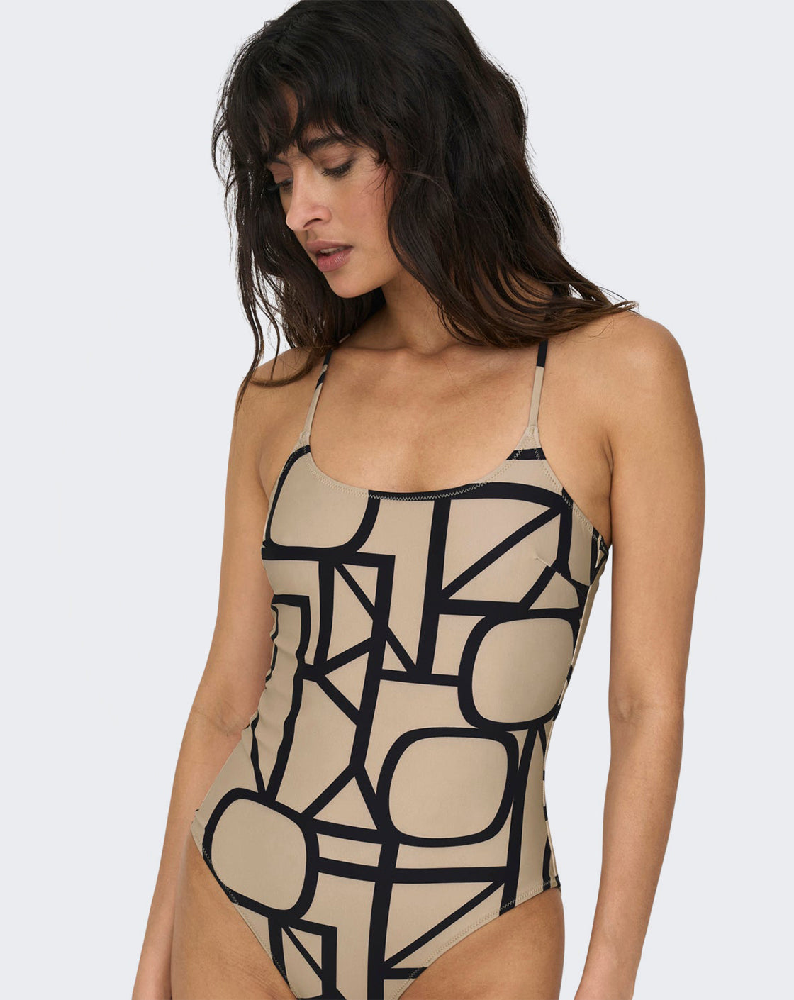 Lemon Leaf Collections